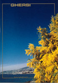 GHERSI dal 1932 - we guarantee the best flowers - Riviera dei Fiori - import export fiori, blumen, flower